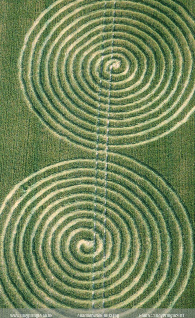 chaddenwick-hill3.jpg