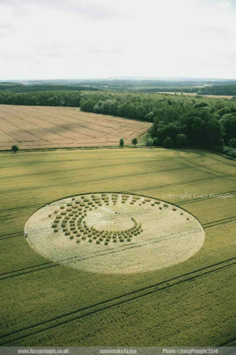 savernake1a.jpg